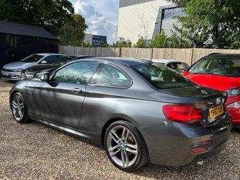 BMW 2 Series 2.0 218d M Sport Auto Euro 6 (s/s) 2dr