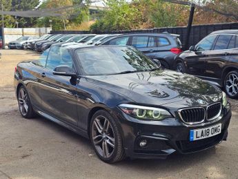 BMW 2 Series 2.0 218d M Sport Euro 6 (s/s) 2dr