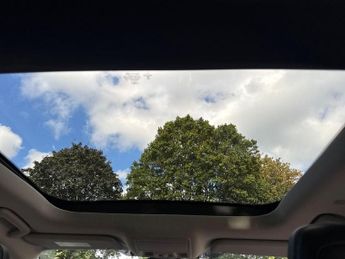 Ford Focus 2.0 EcoBlue Vignale Auto Euro 6 (s/s) 5dr