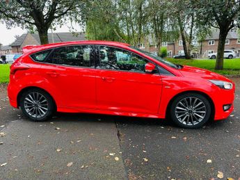 Ford Focus 1.5T EcoBoost ST-Line Hatchback 5dr Petrol Auto Euro 6 (s/s) (15