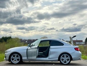 BMW 2 Series 2.0 218d Luxury Auto Euro 6 (s/s) 2dr