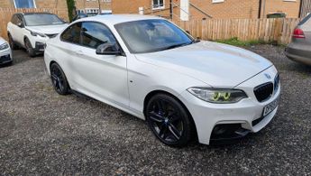 BMW 2 Series 2.0 218d M Sport Euro 6 (s/s) 2dr