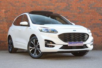 Ford Kuga 2.0 EcoBlue MHEV ST-Line X Euro 6 (s/s) 5dr