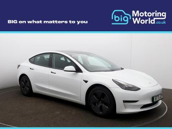 Tesla Model 3 ALL MODELS