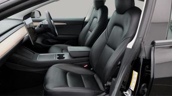Tesla Model 3 ALL MODELS