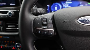 Ford Kuga VIGNALE