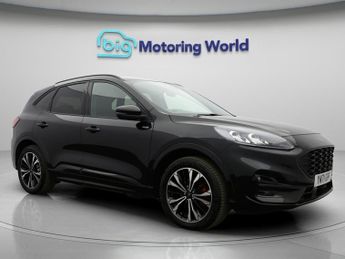 Ford Kuga ST-LINE X EDITION