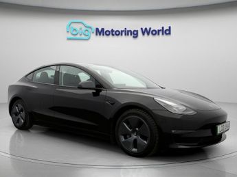 Tesla Model 3 ALL MODELS