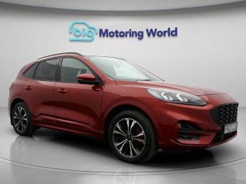 Ford Kuga ST-LINE X EDITION