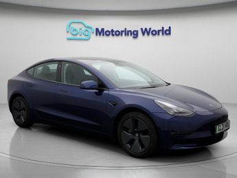 Tesla Model 3 ALL MODELS
