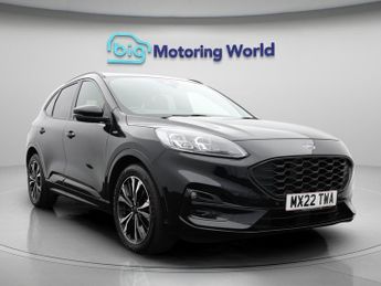 Ford Kuga ST-LINE X EDITION