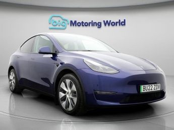 Tesla Model Y ALL MODELS