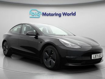 Tesla Model 3 ALL MODELS
