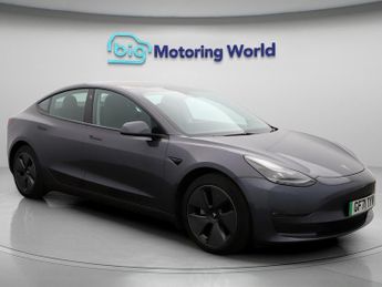 Tesla Model 3 ALL MODELS