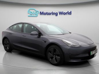 Tesla Model 3 ALL MODELS