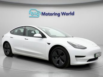 Tesla Model 3 ALL MODELS