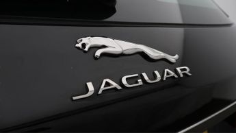 Jaguar XF PORTFOLIO