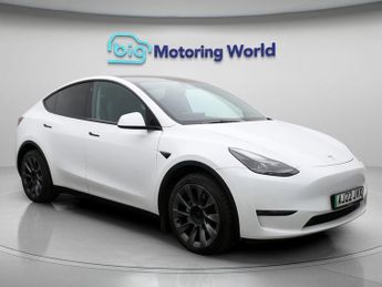 Tesla Model Y ALL MODELS