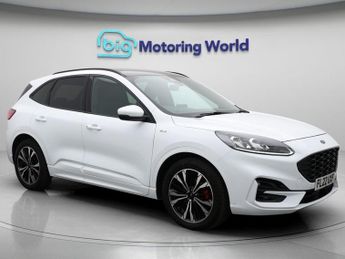 Ford Kuga ST-LINE X EDITION