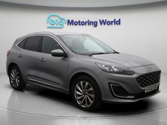 Ford Kuga VIGNALE