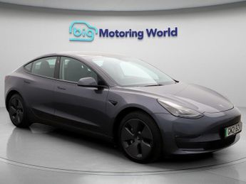 Tesla Model 3 ALL MODELS