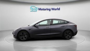 Tesla Model 3 ALL MODELS