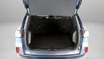 Ford Kuga ZETEC ECOBLUE
