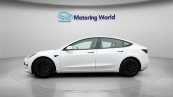 Tesla Model 3 ALL MODELS