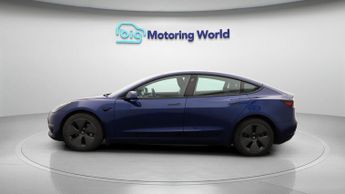 Tesla Model 3 ALL MODELS