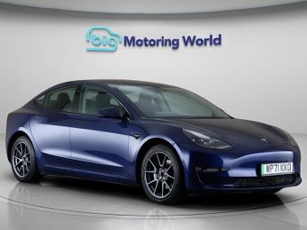 Tesla Model 3 ALL MODELS