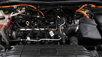 Ford Kuga ST-LINE X EDITION