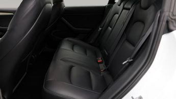 Tesla Model 3 ALL MODELS