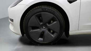 Tesla Model 3 ALL MODELS
