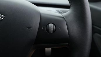 Tesla Model 3 ALL MODELS