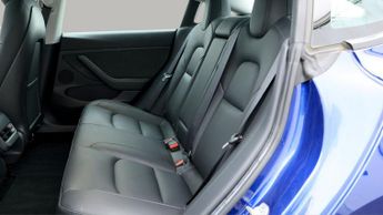 Tesla Model 3 ALL MODELS