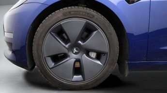 Tesla Model 3 ALL MODELS