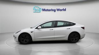 Tesla Model 3 ALL MODELS