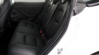 Tesla Model 3 ALL MODELS