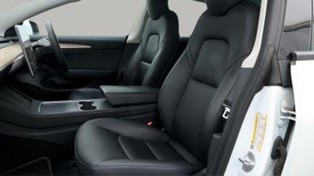 Tesla Model 3 ALL MODELS