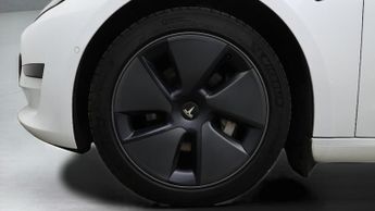 Tesla Model 3 ALL MODELS