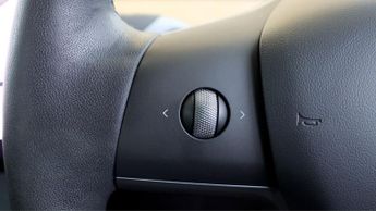 Tesla Model 3 ALL MODELS