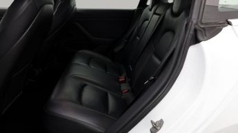 Tesla Model 3 ALL MODELS