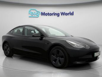 Tesla Model 3 ALL MODELS