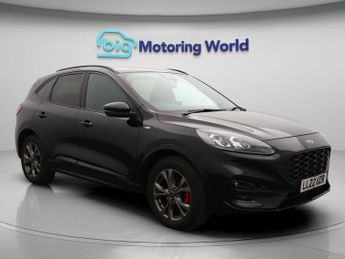Ford Kuga ST-LINE ECOBLUE