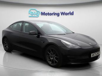 Tesla Model 3 ALL MODELS