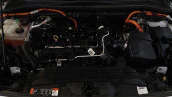Ford Kuga ST-LINE X EDITION