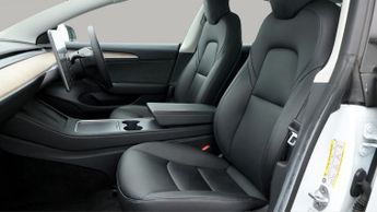 Tesla Model 3 ALL MODELS