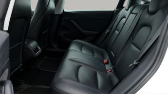 Tesla Model 3 ALL MODELS