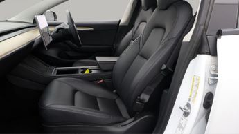 Tesla Model 3 ALL MODELS
