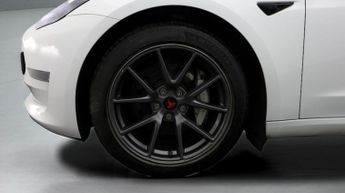Tesla Model 3 ALL MODELS